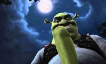 Shrek under the moonlight